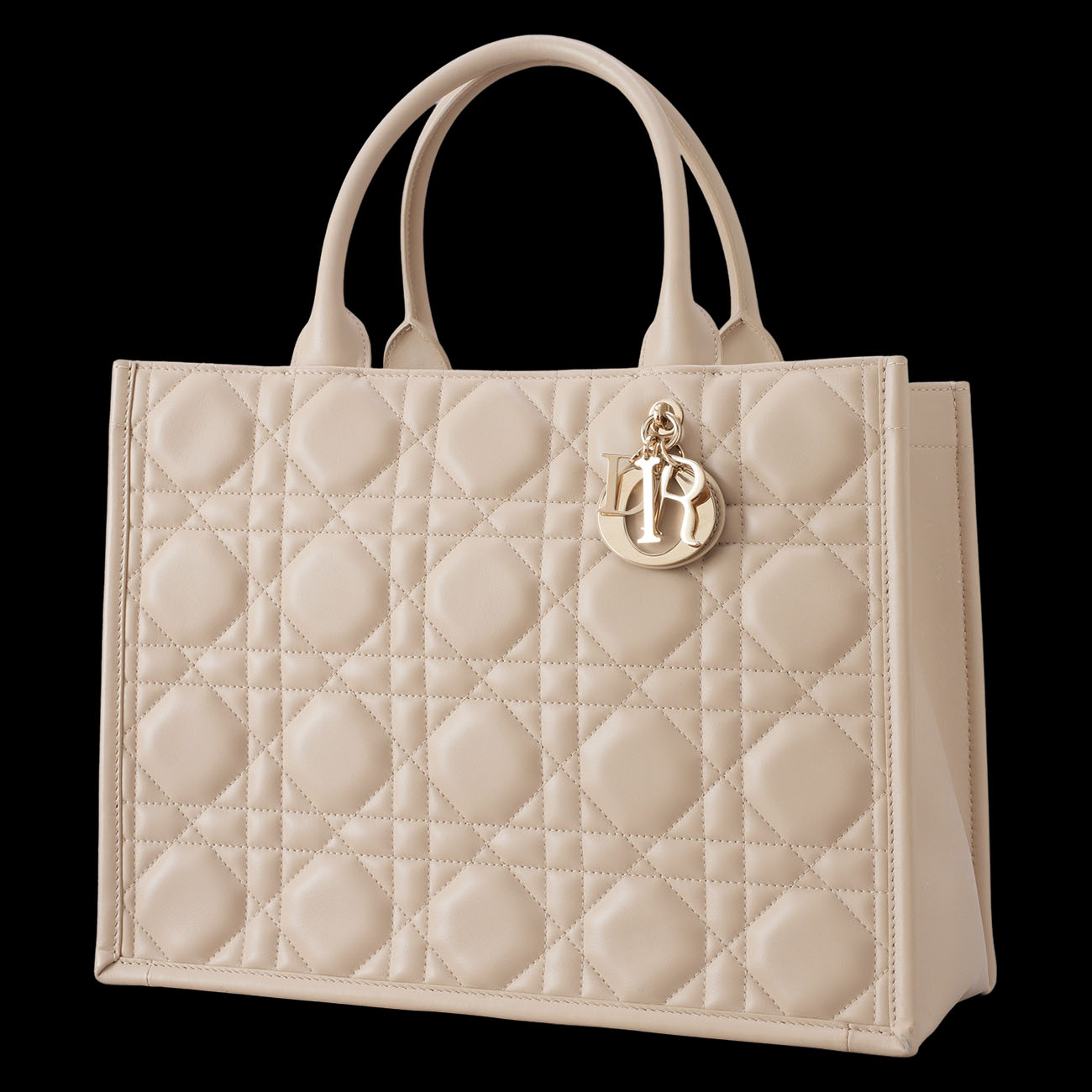 CHRISTIAN DIOR(USED)디올 레더 북토트 미듐